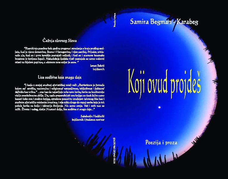 Picture